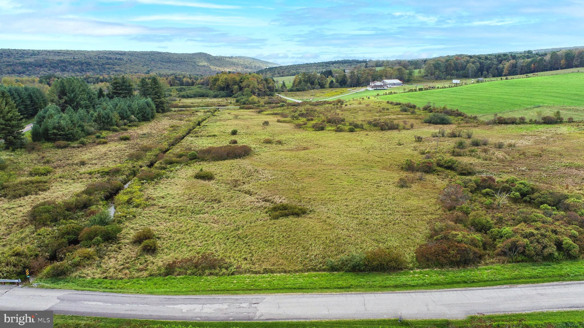 5.5-acres Lake Ford Road Oakland, MD 21550 - Photo 19 of 21 a view of a field with an ocean