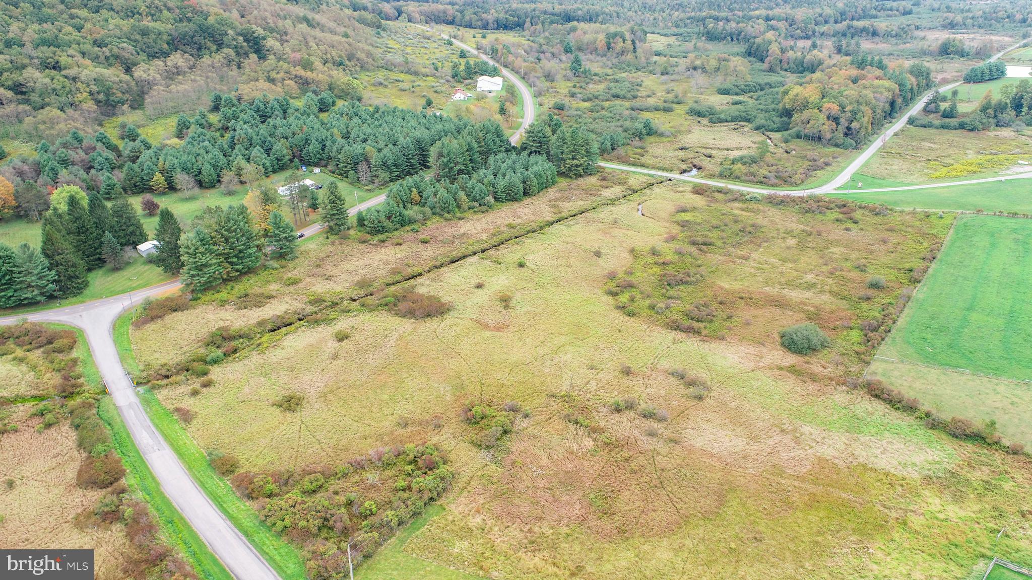5.5-acres Lake Ford Road Oakland, MD 21550 - Photo 3 of 21 a view of a yard
