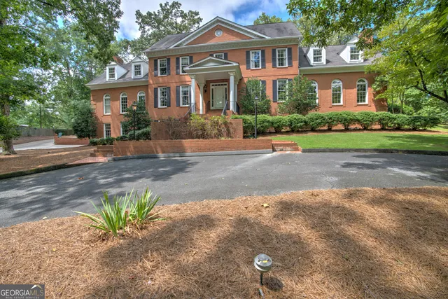 a view of a garden with plants and large trees