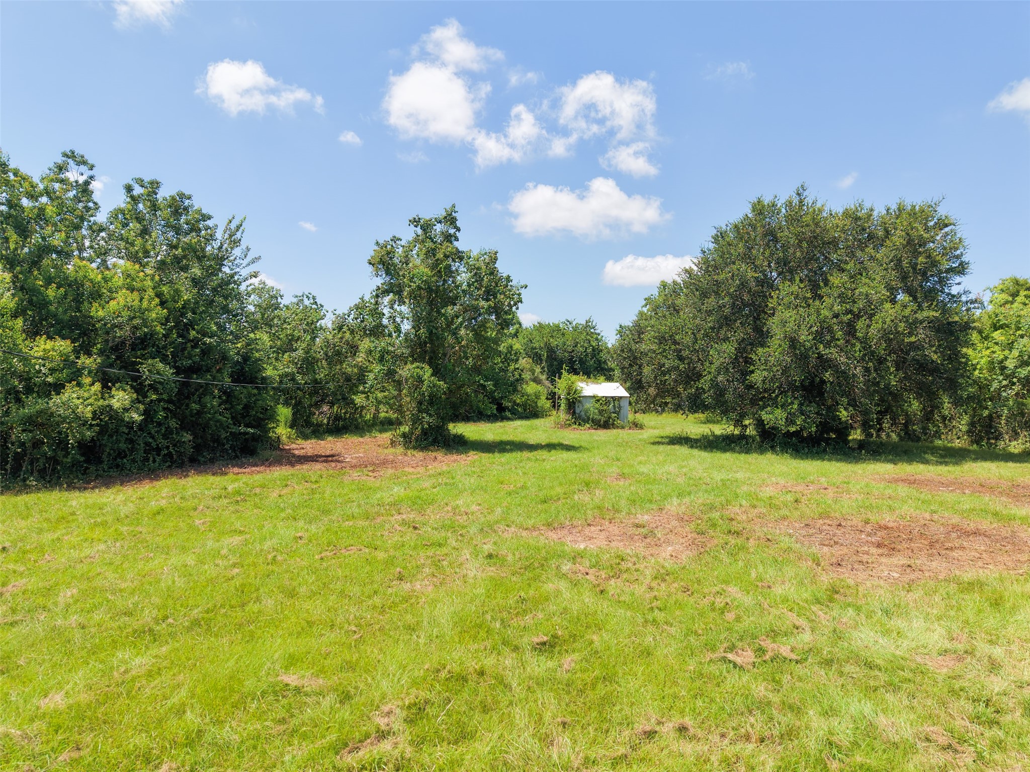 28619 Barry Lane Waller, TX 77484 - Photo 23 of 28 Spacious cleared area surrounded by established trees, perfect for building while enjoying peaceful country views.