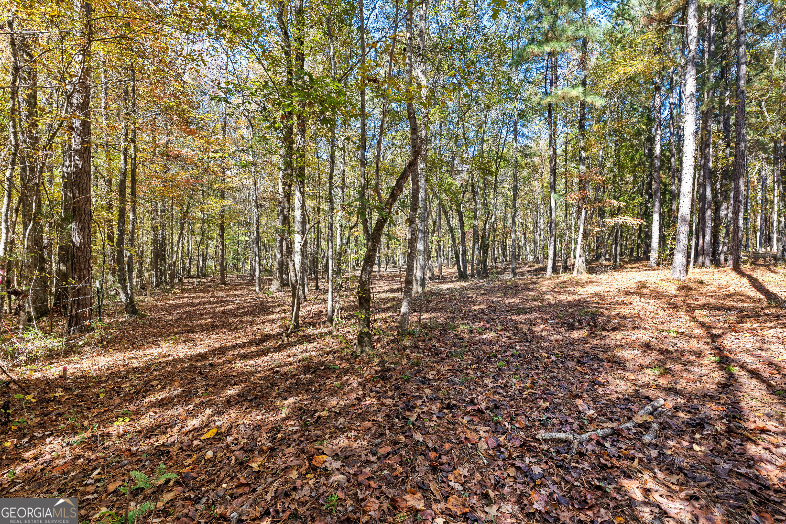 4893 New Franklin Road Hogansville, GA 30230 - Photo 78 of 107