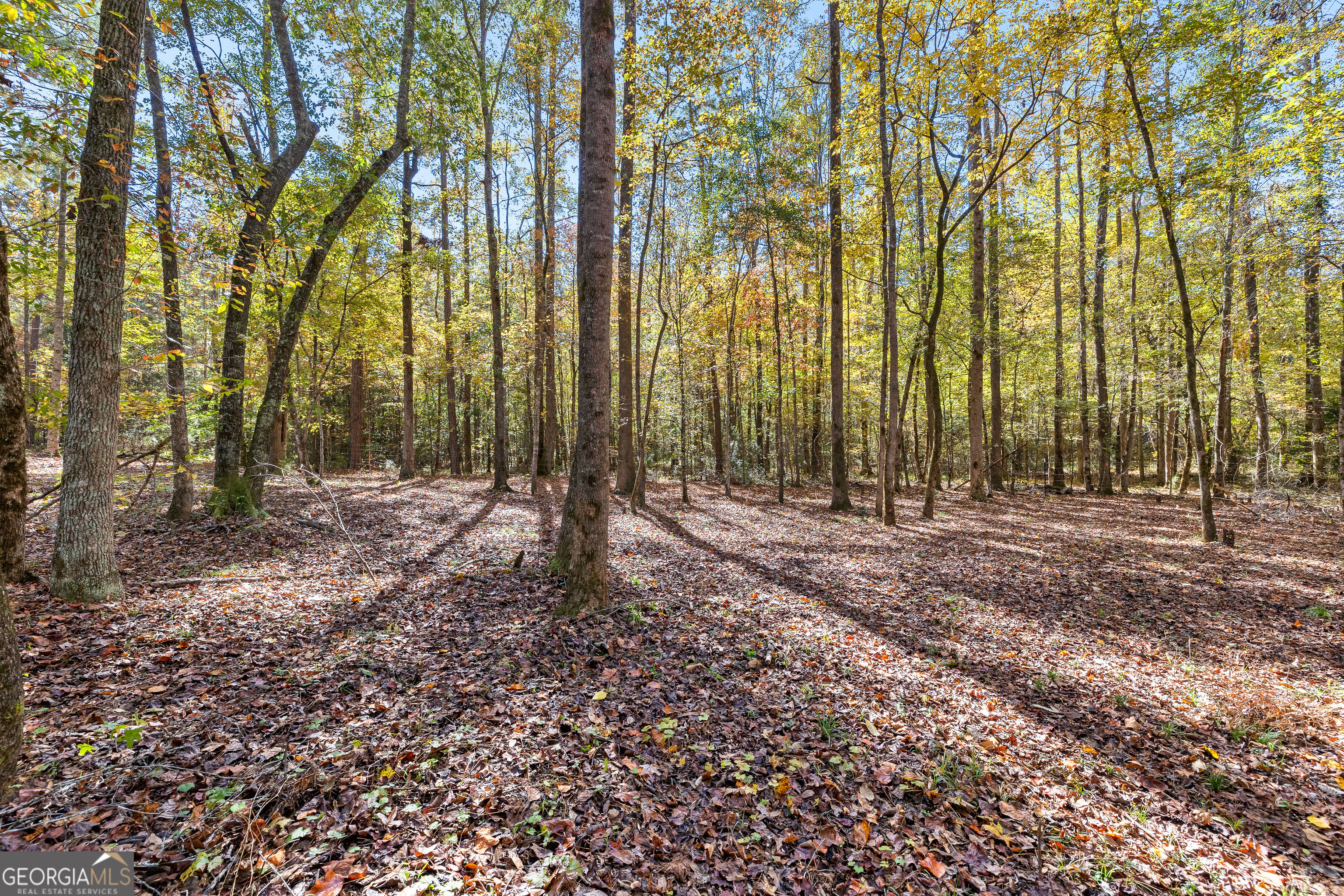 4893 New Franklin Road Hogansville, GA 30230 - Photo 79 of 107