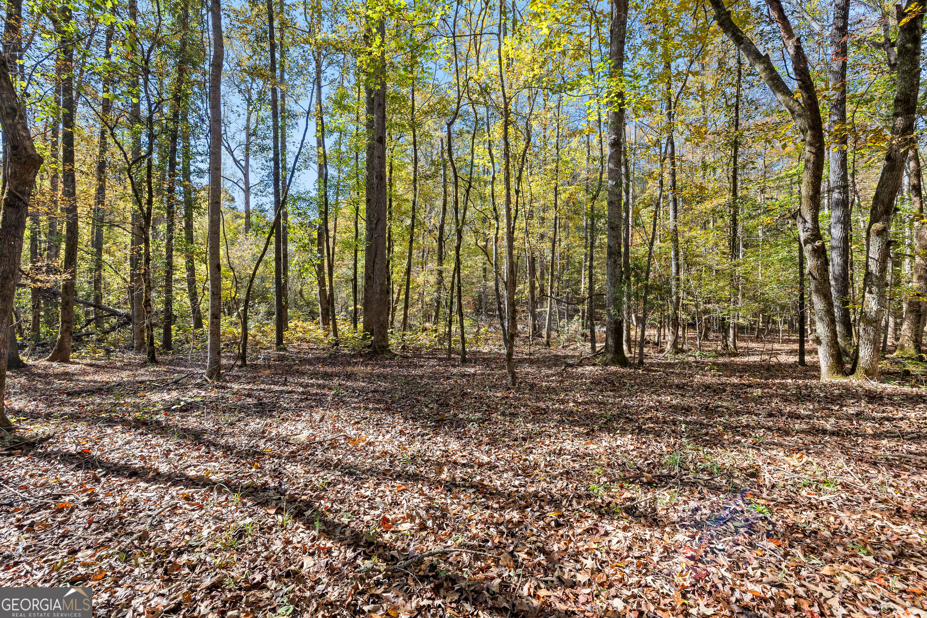 4893 New Franklin Road Hogansville, GA 30230 - Photo 81 of 107