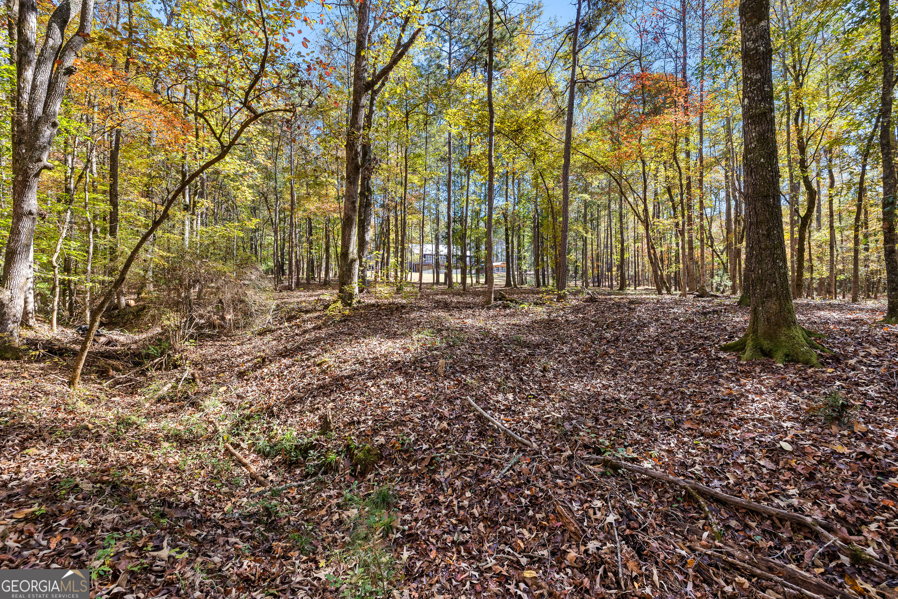 4893 New Franklin Road Hogansville, GA 30230 - Photo 82 of 107