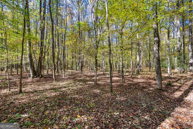 $499,500 | 4893 New Franklin Road, Hogansville, GA 30230