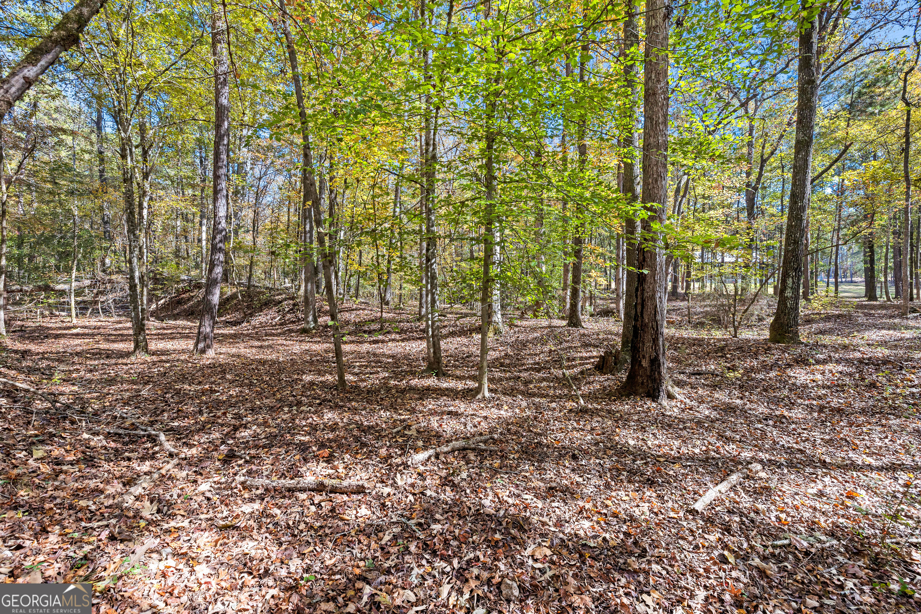 4893 New Franklin Road Hogansville, GA 30230 - Photo 85 of 107