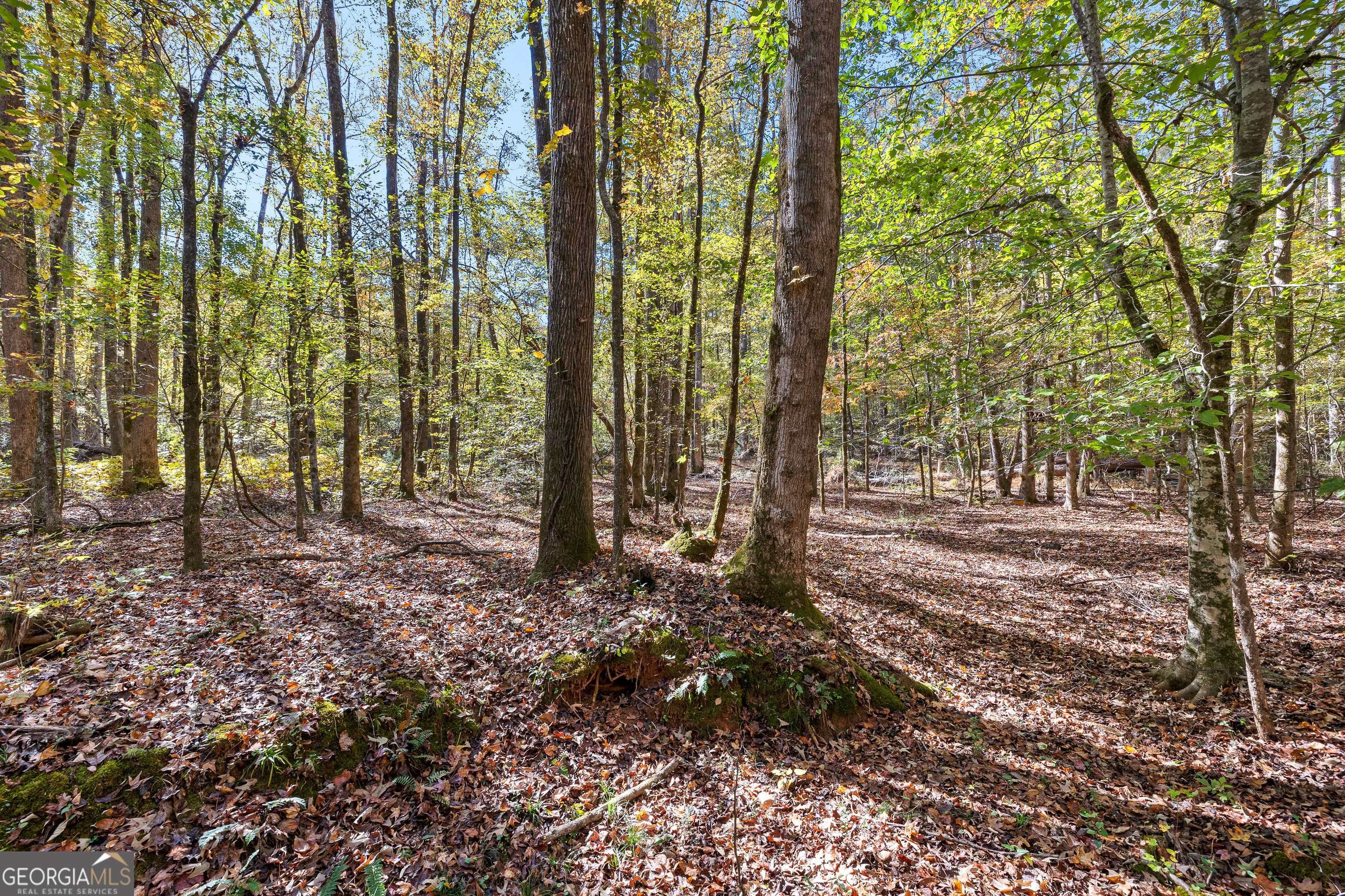 4893 New Franklin Road Hogansville, GA 30230 - Photo 86 of 107