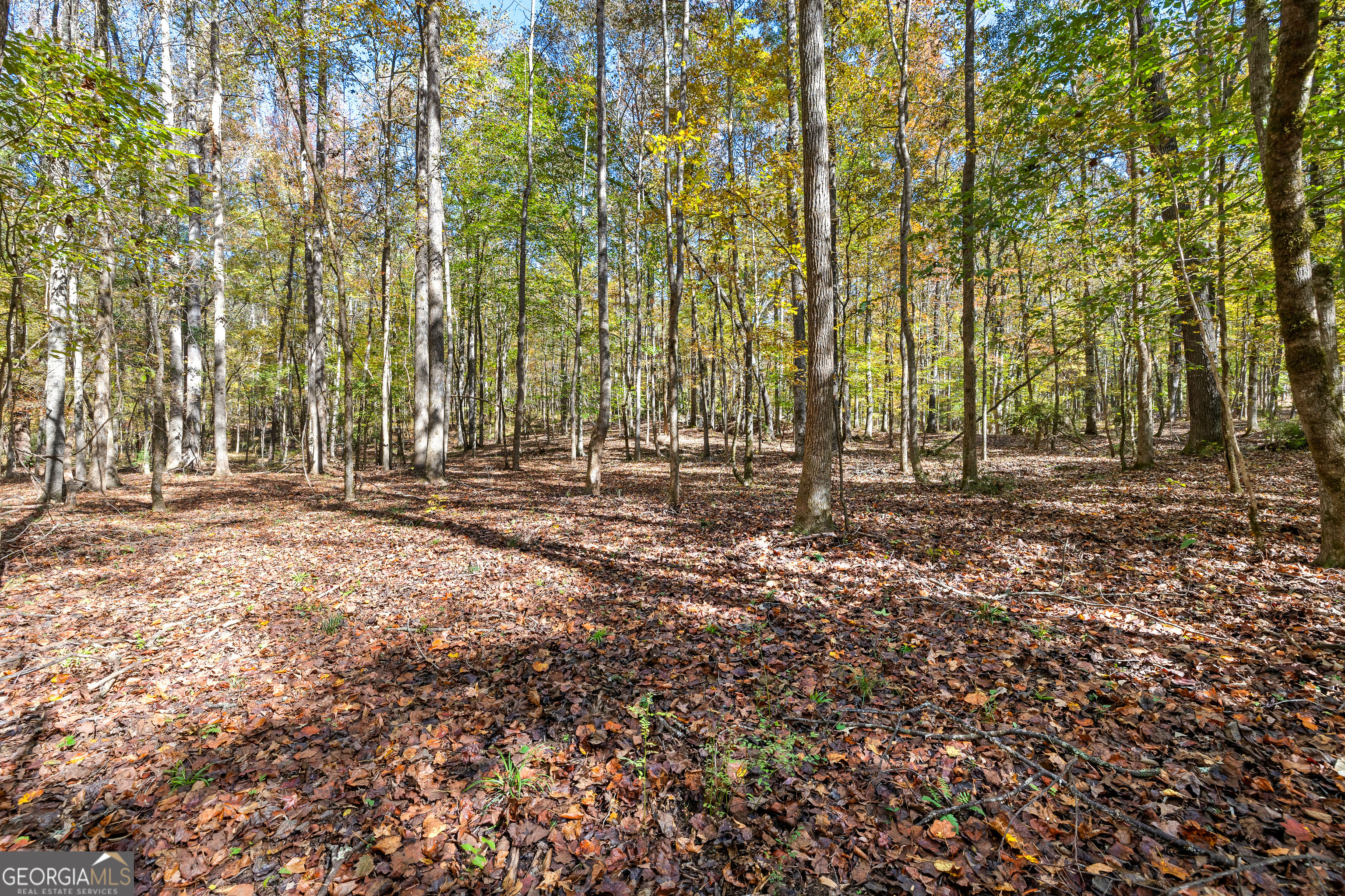 4893 New Franklin Road Hogansville, GA 30230 - Photo 87 of 107