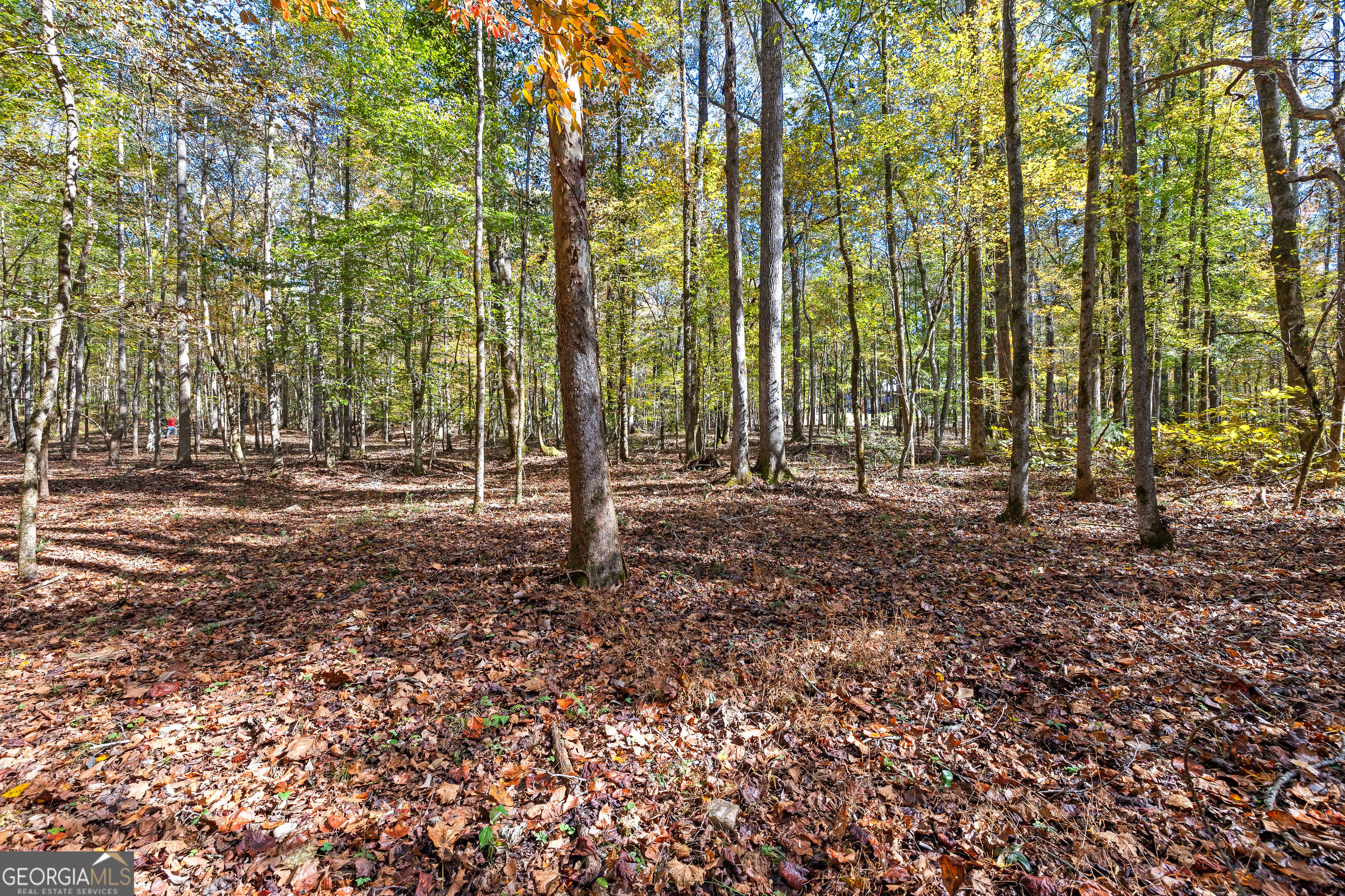 4893 New Franklin Road Hogansville, GA 30230 - Photo 88 of 107