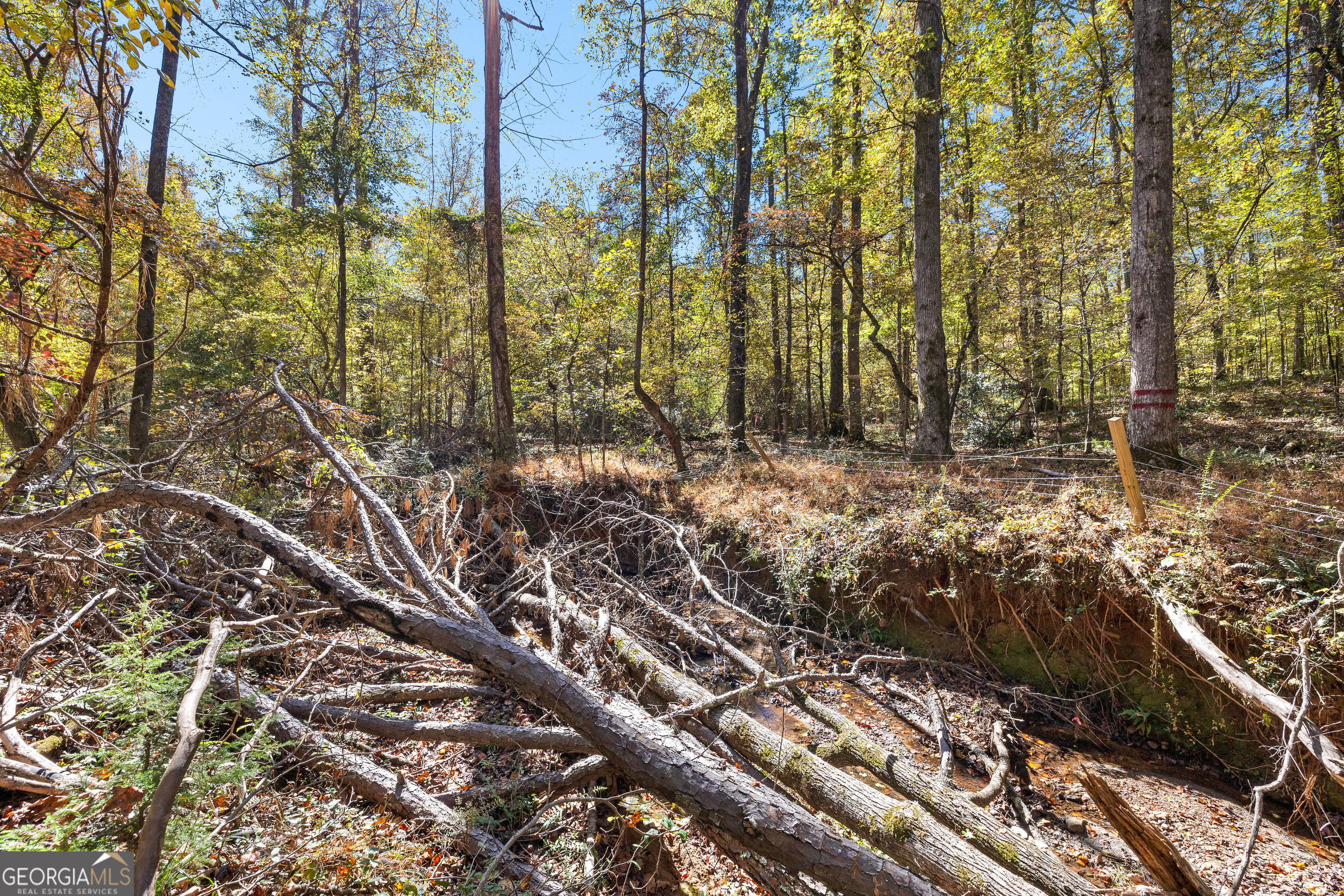 4893 New Franklin Road Hogansville, GA 30230 - Photo 89 of 107