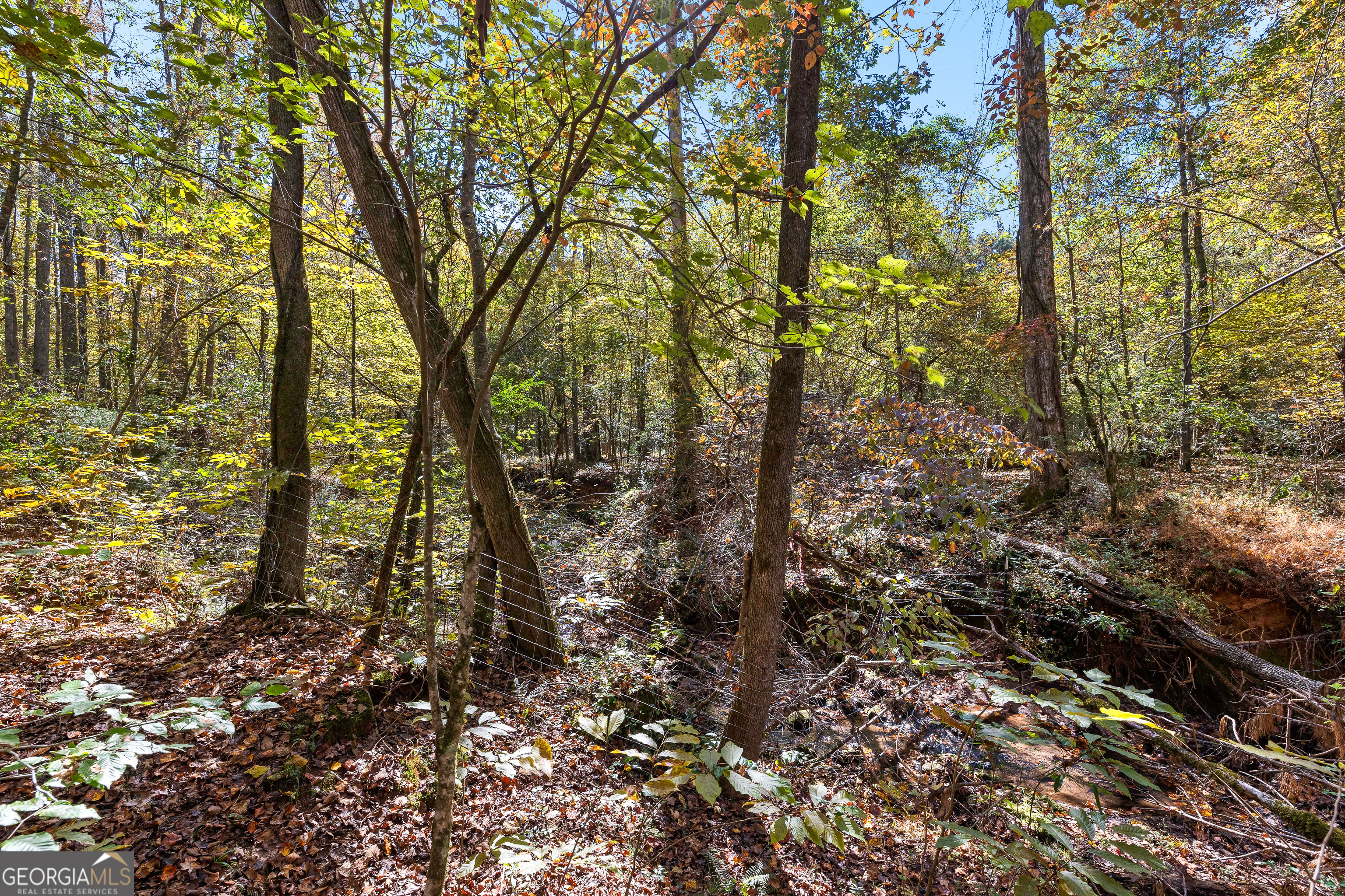 4893 New Franklin Road Hogansville, GA 30230 - Photo 91 of 107