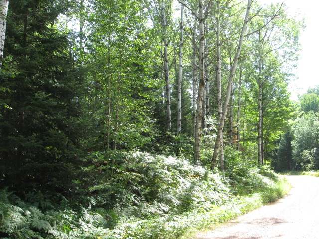 On Bruette Road Presque Isle, WI 54557 - Photo 1 of 8 Gallery Image 1