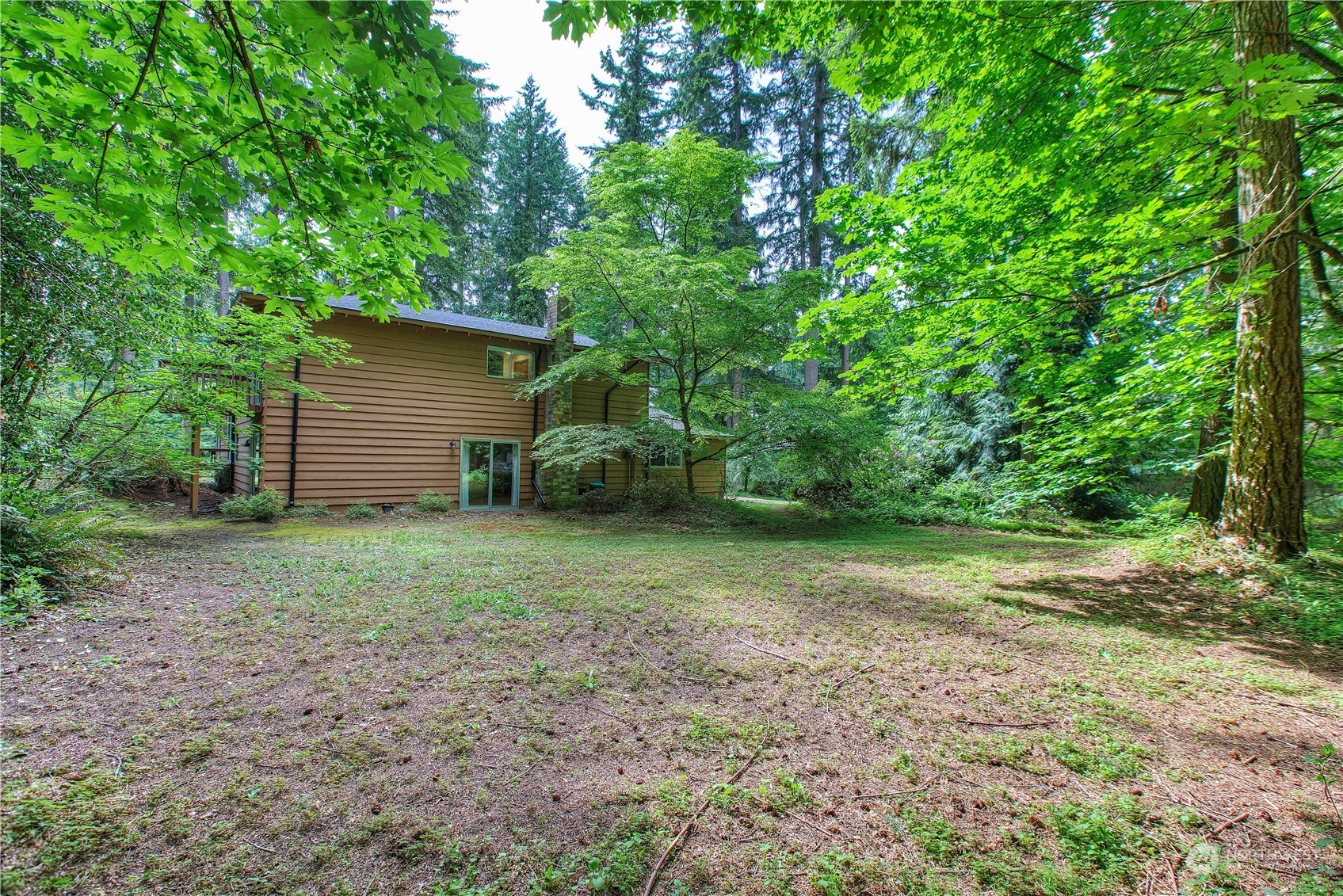 22509 45th Avenue Southeast Bothell, WA 98021 - Photo 31 of 31 a view of a backyard with large trees and plants