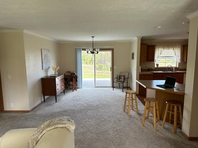 17428 21 Mile Road Big Rapids, MI 49307 - Photo 11 of 41 IMG_5541