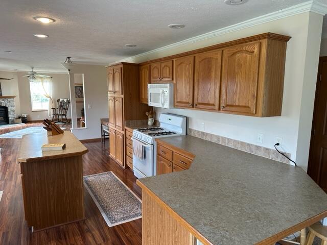 17428 21 Mile Road Big Rapids, MI 49307 - Photo 13 of 41 IMG_5546