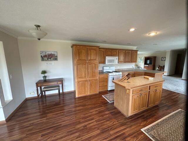 17428 21 Mile Road Big Rapids, MI 49307 - Photo 15 of 41 IMG_5547
