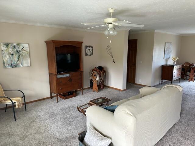 17428 21 Mile Road Big Rapids, MI 49307 - Photo 10 of 41 IMG_5540