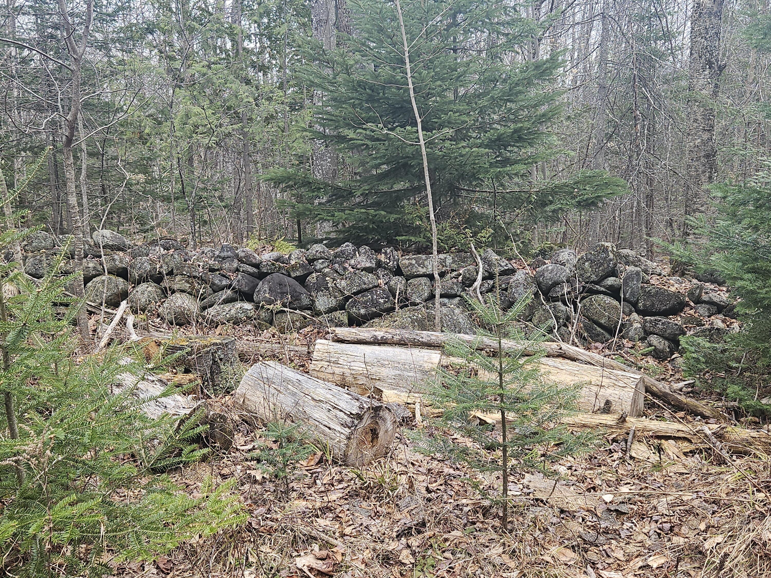469 Norton Hill Road Strong, ME 04983 - Photo 73 of 76 20260424_101820
