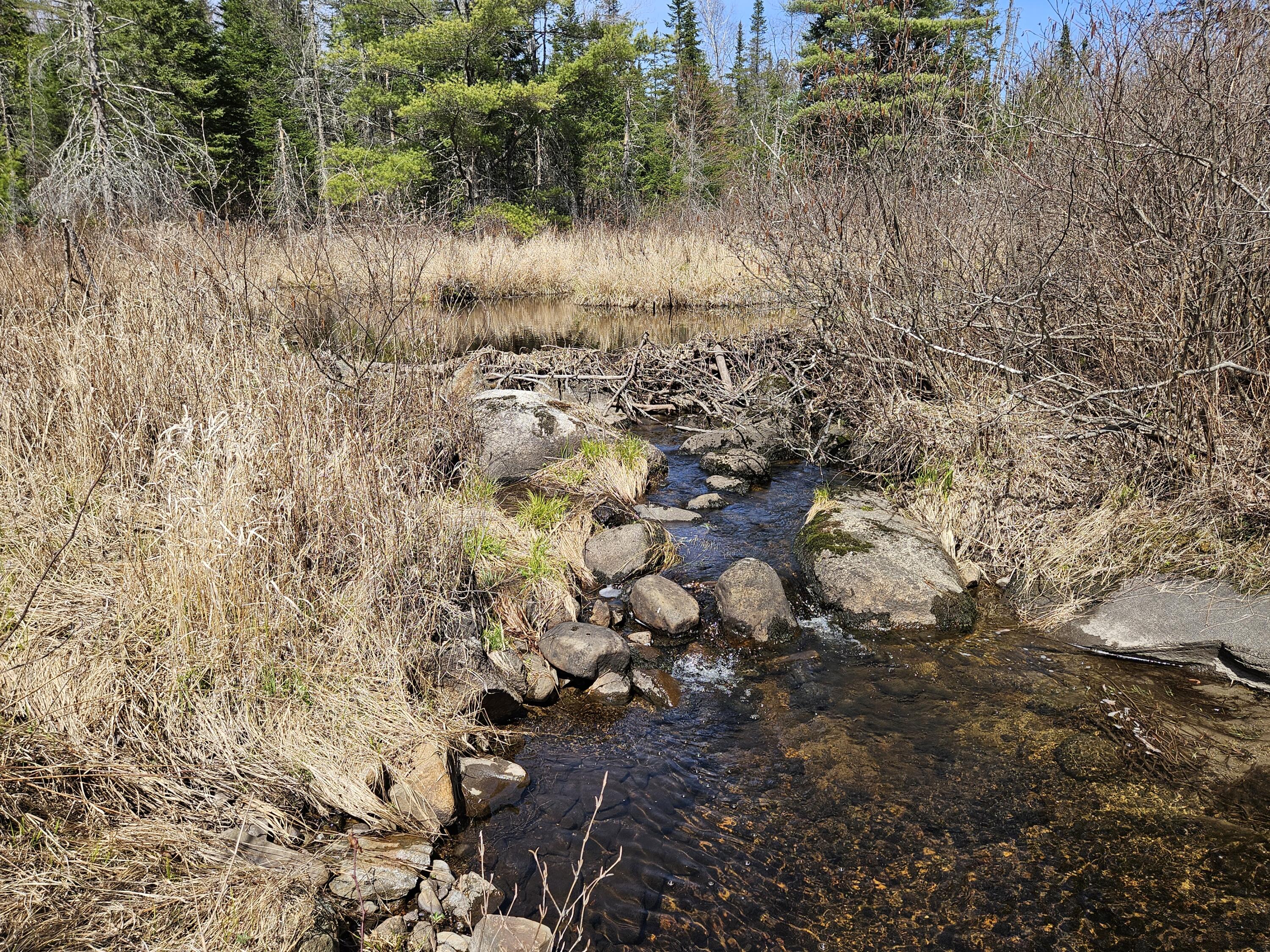 469 Norton Hill Road Strong, ME 04983 - Photo 74 of 76 20260428_135948