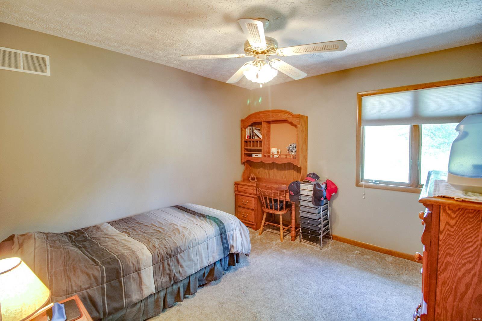 915 Reservoir Road Staunton, IL 62088 - Photo 29 of 64