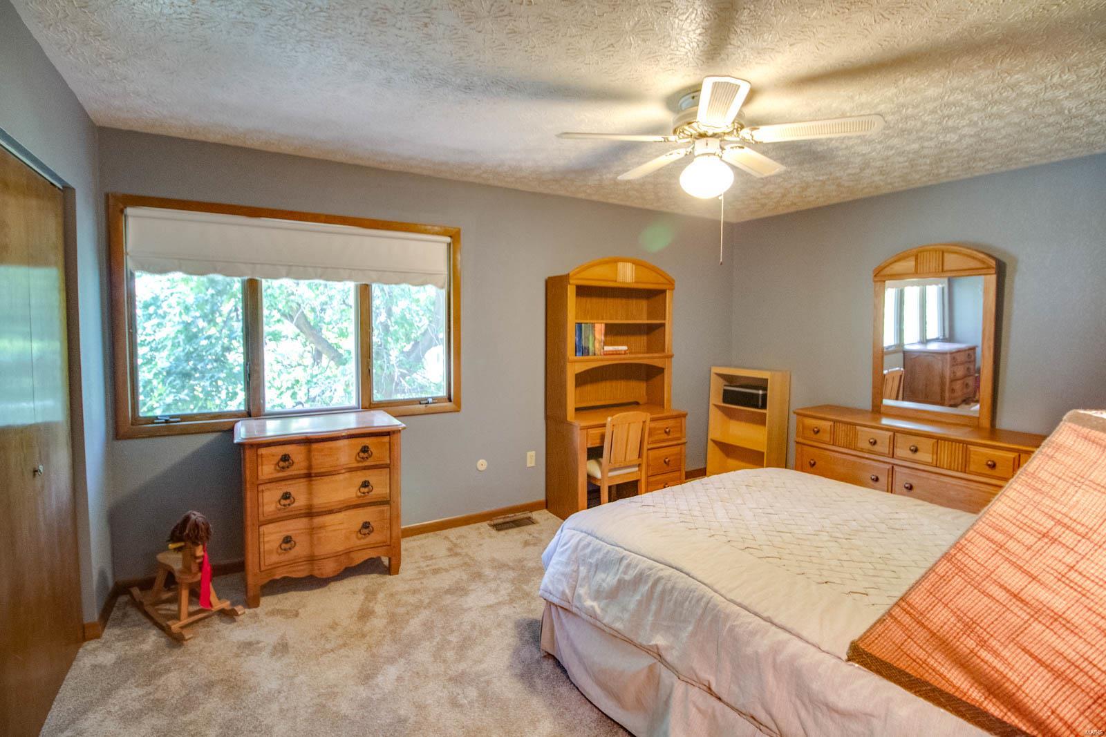 915 Reservoir Road Staunton, IL 62088 - Photo 31 of 64