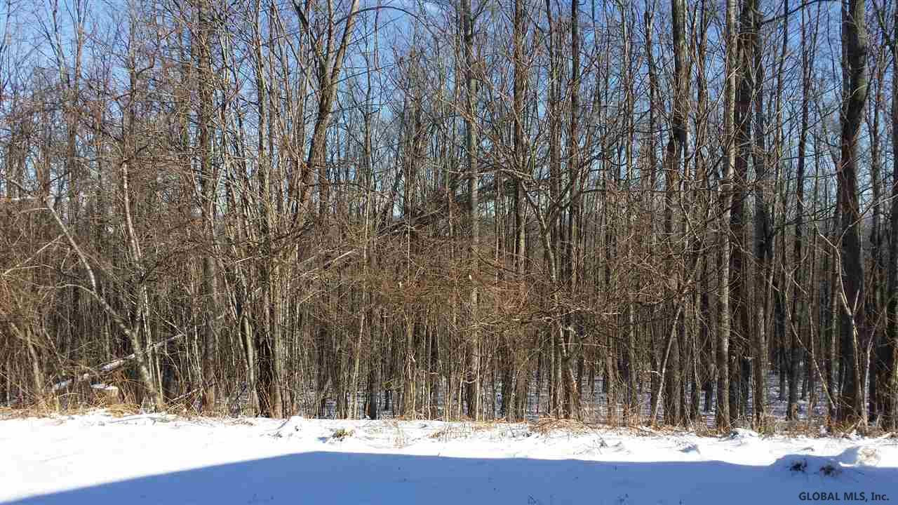 173 Gordon Road Carlisle, NY 12160 - Photo 27 of 28 Photo 27