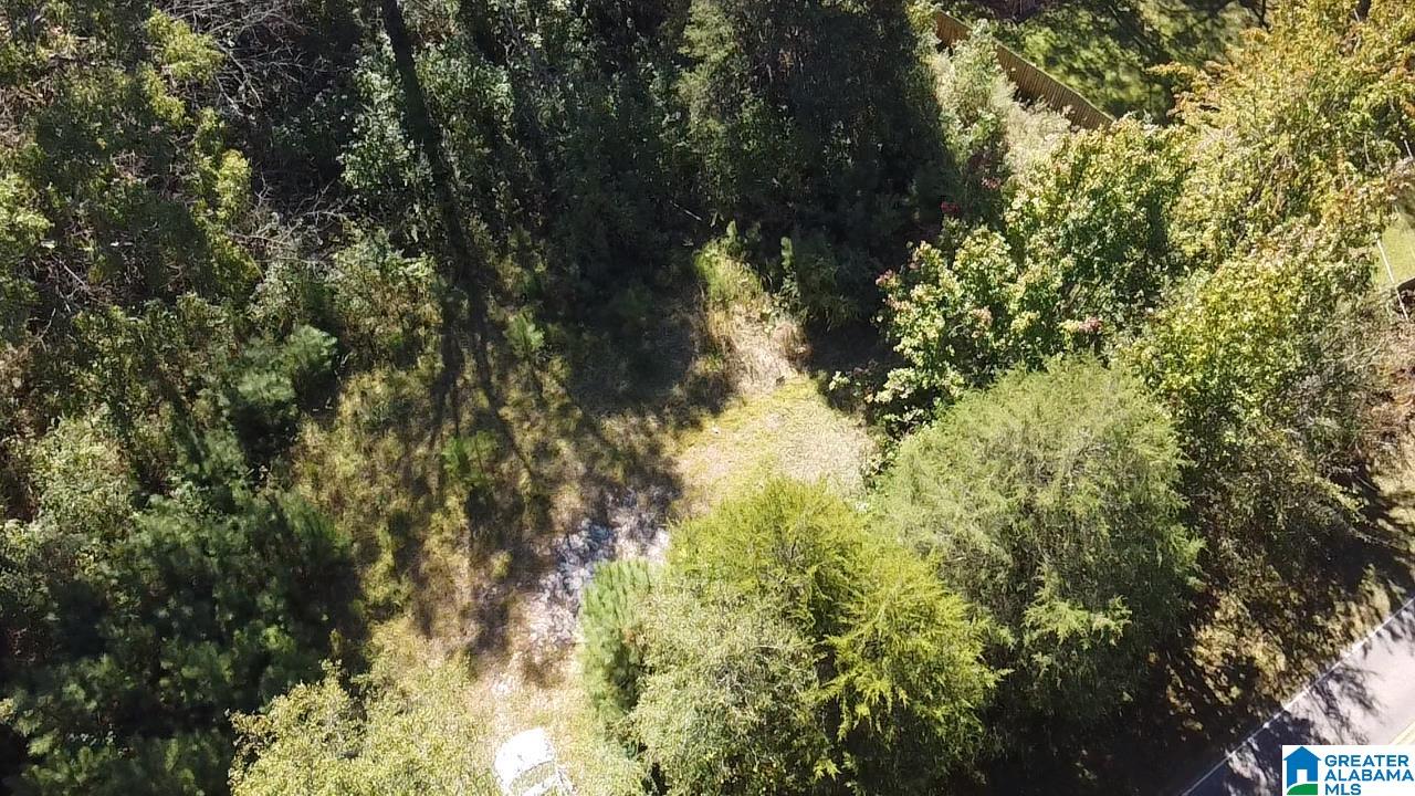 0 Odens Mill Road Sylacauga, AL 35151 - Photo 11 of 23