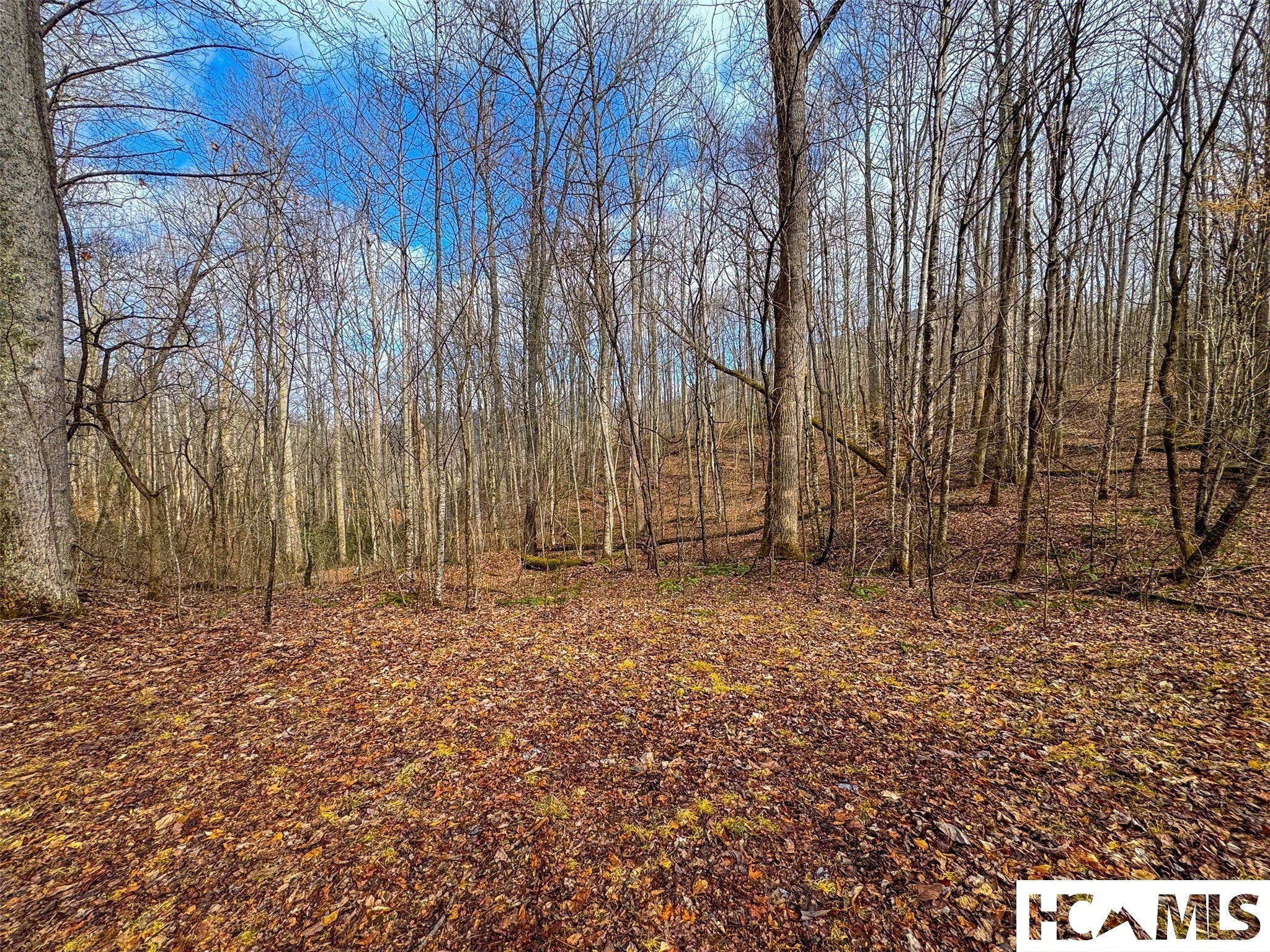 1241 Henry Road Franklin, NC 28734 - Photo 15 of 67 Gallery Image 15