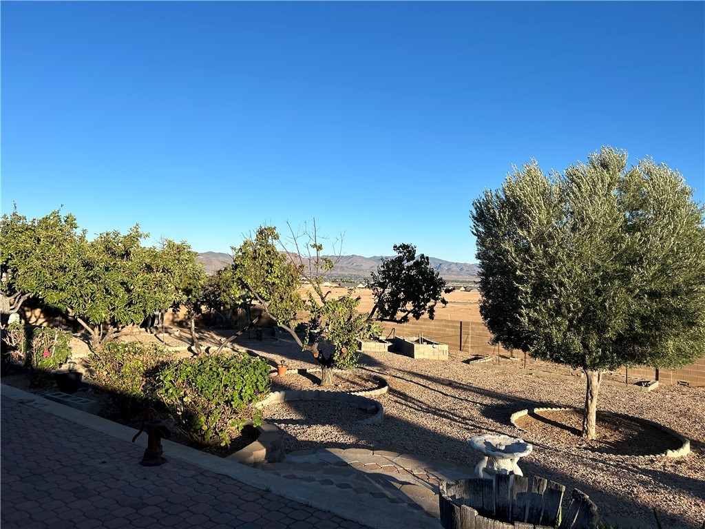 4351 Pinto Road Kingman, AZ 86401 - Photo 27 of 33 Yard