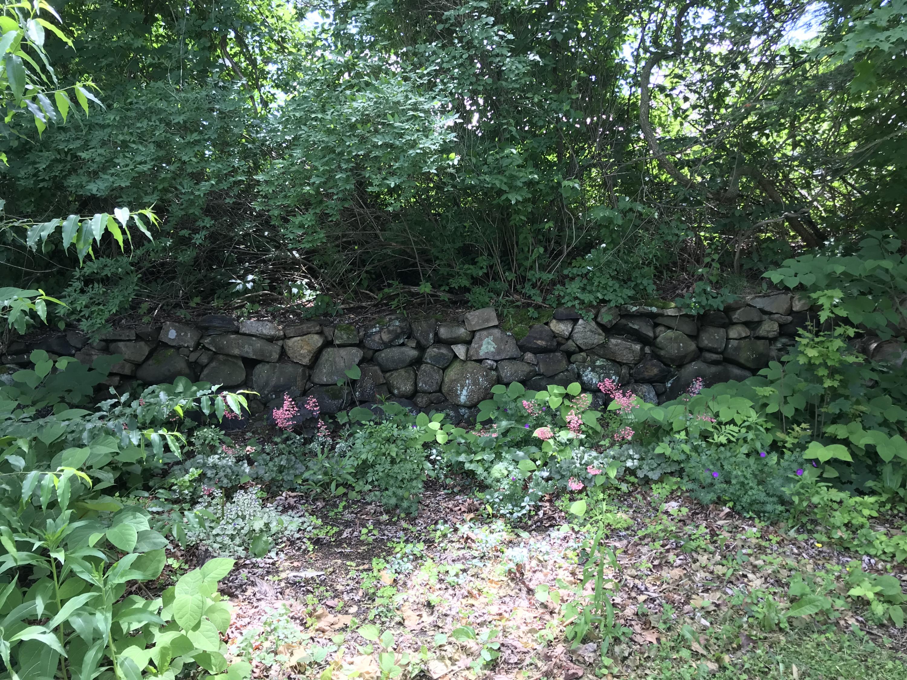 32 School Street Porter, ME 04068 - Photo 4 of 17 Stone wall