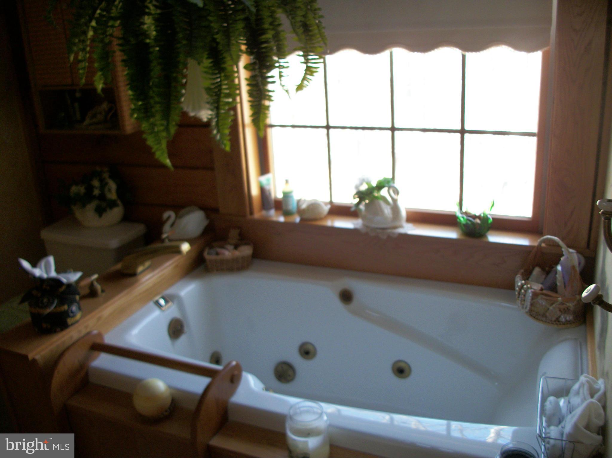20174 Crooked Run Road Culpeper, VA 22701 - Photo 15 of 30 Bath (Master)