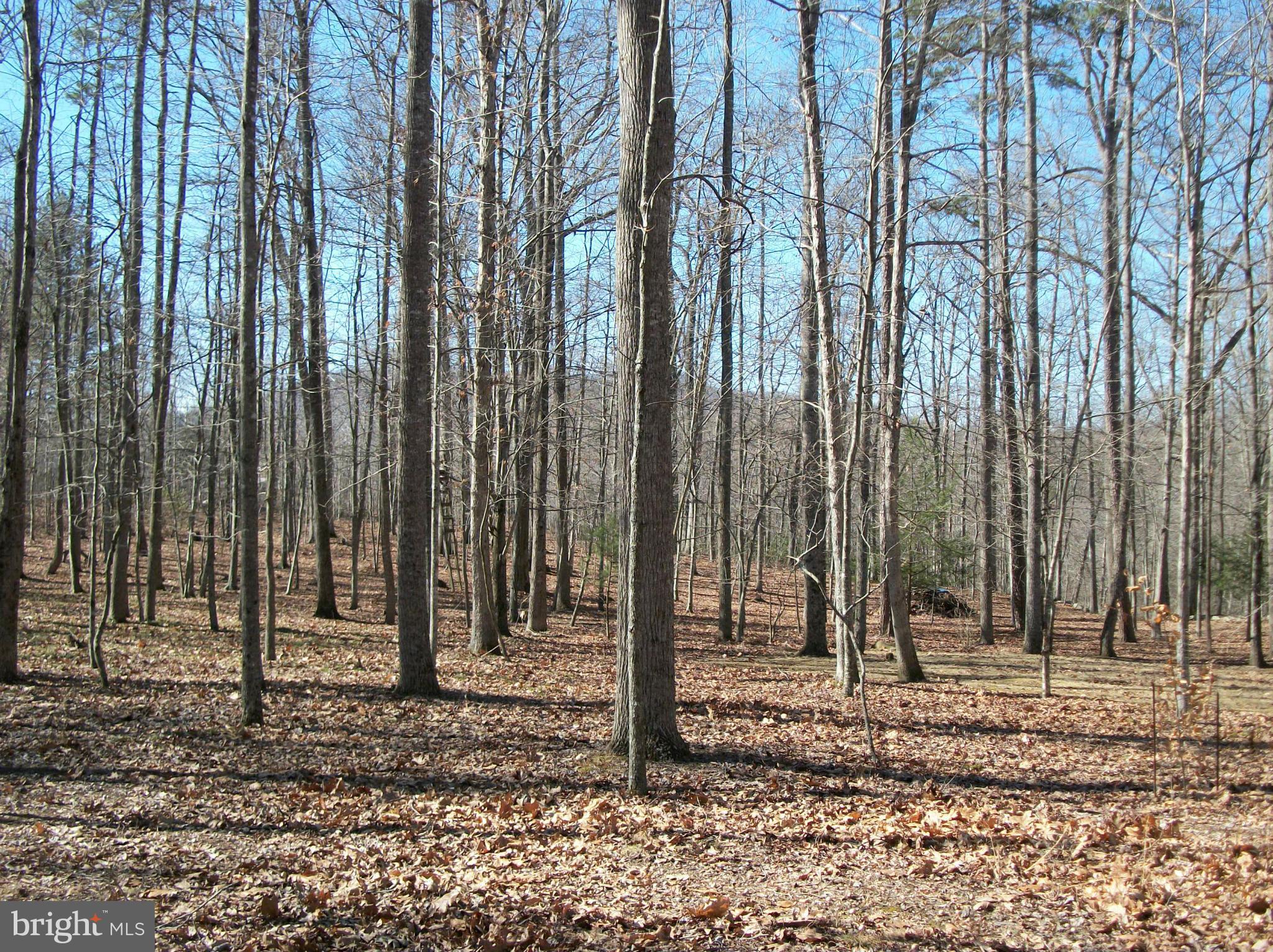 20174 Crooked Run Road Culpeper, VA 22701 - Photo 27 of 30 View