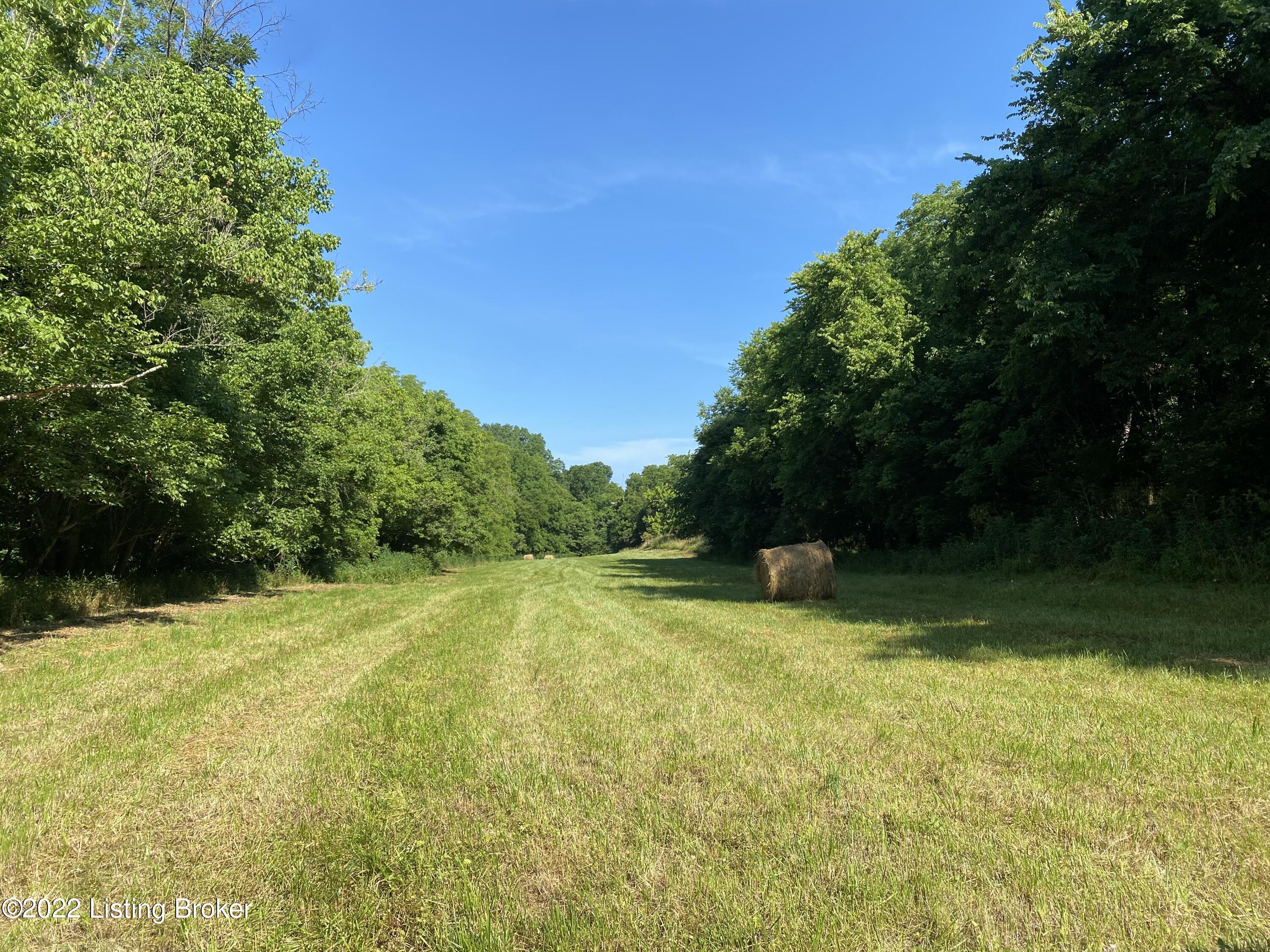 1795 Briar Ridge Road Mount Eden, KY 40046 - Photo 13 of 59 IMG_4501