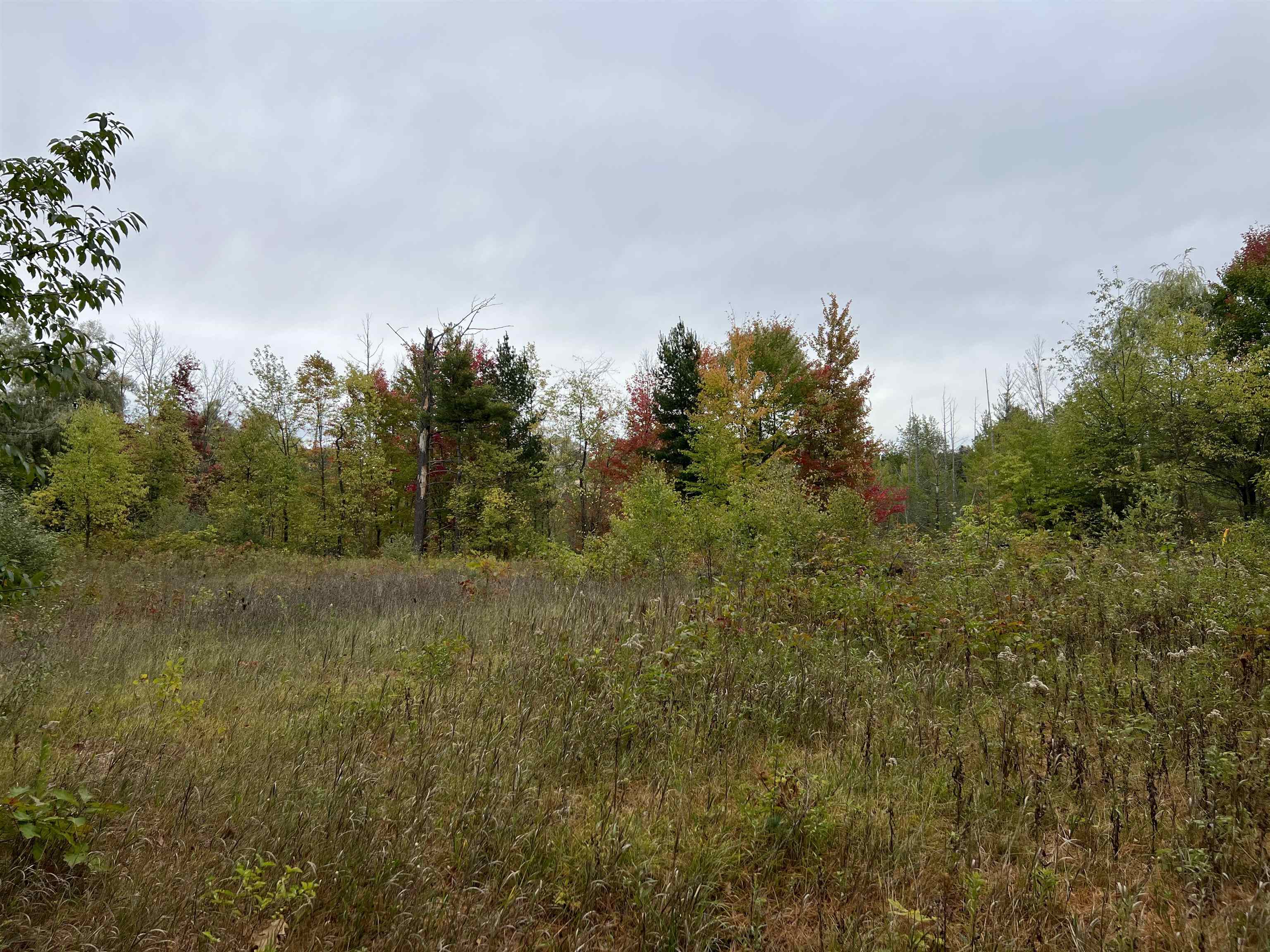 0 Bass Lake Road Traverse City, MI 49685 - Photo 3 of 11 1916755-2.JPG
