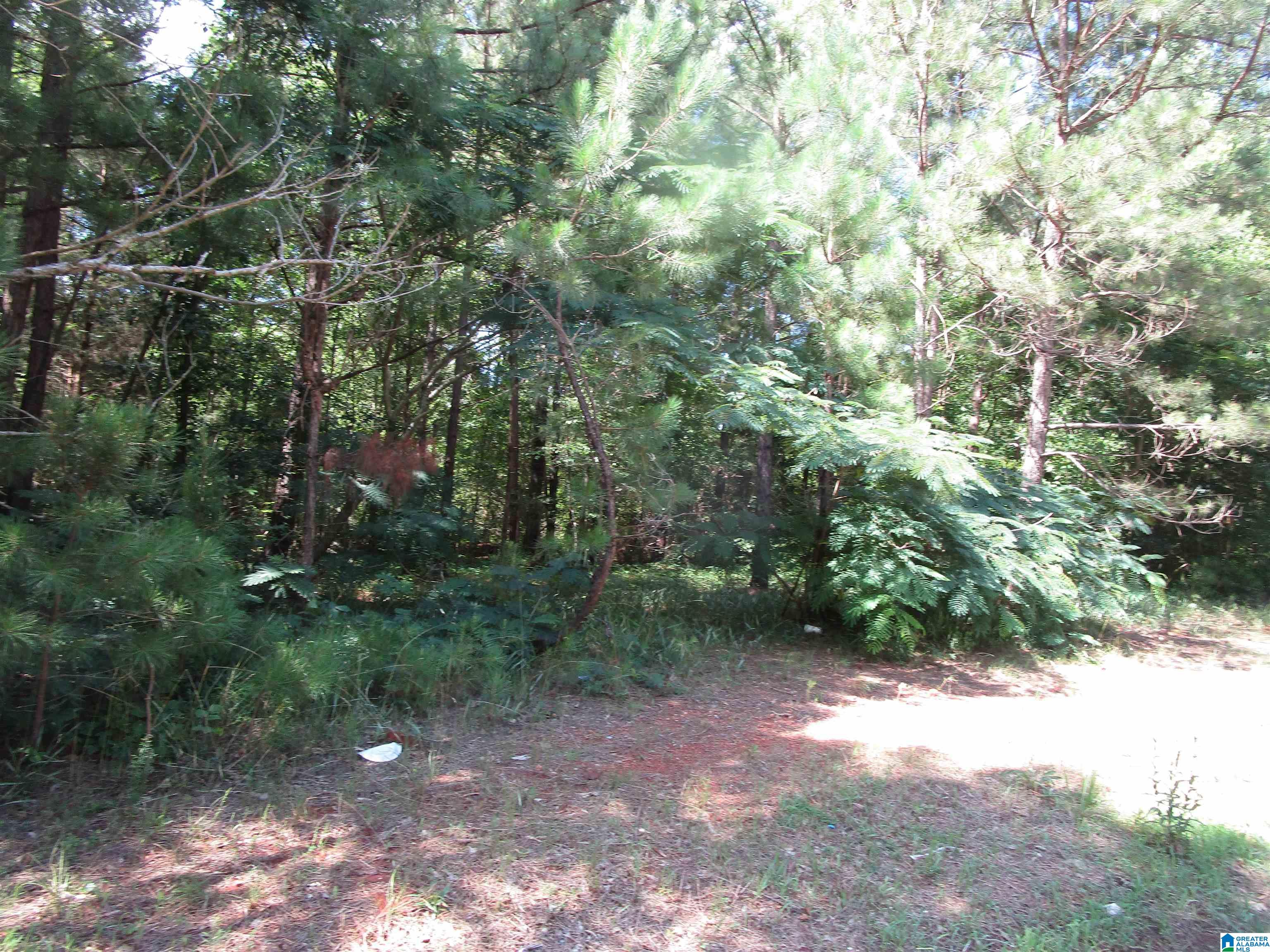 Odena Road, Unit 37 Maplesville, AL 36750 - Photo 6 of 7