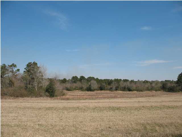 2050 County Road DeFuniak Springs, FL 32433 - Photo 2 of 26 Gallery Image 2