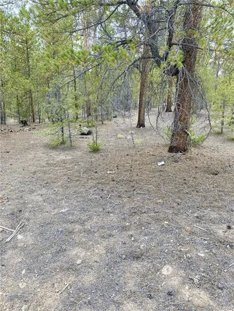 $58,000 | 340 Peakview Drive, Twin Lakes, CO 81251