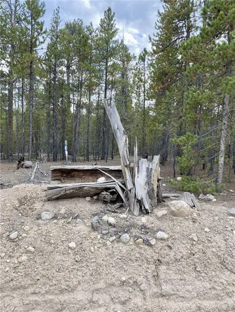 $58,000 | 340 Peakview Drive, Twin Lakes, CO 81251