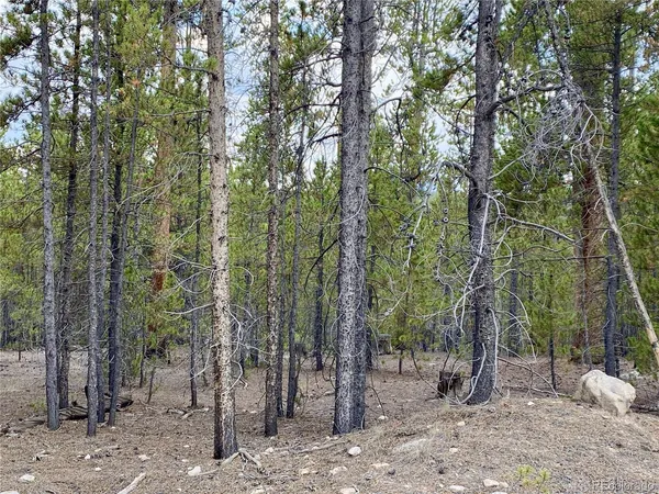 $58,000 | 340 Peakview Drive, Twin Lakes, CO 81251