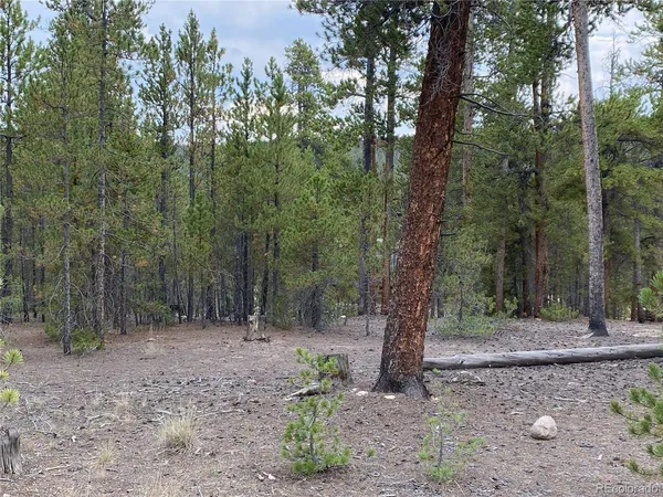 $58,000 | 340 Peakview Drive, Twin Lakes, CO 81251