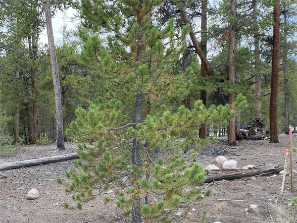 $58,000 | 340 Peakview Drive, Twin Lakes, CO 81251
