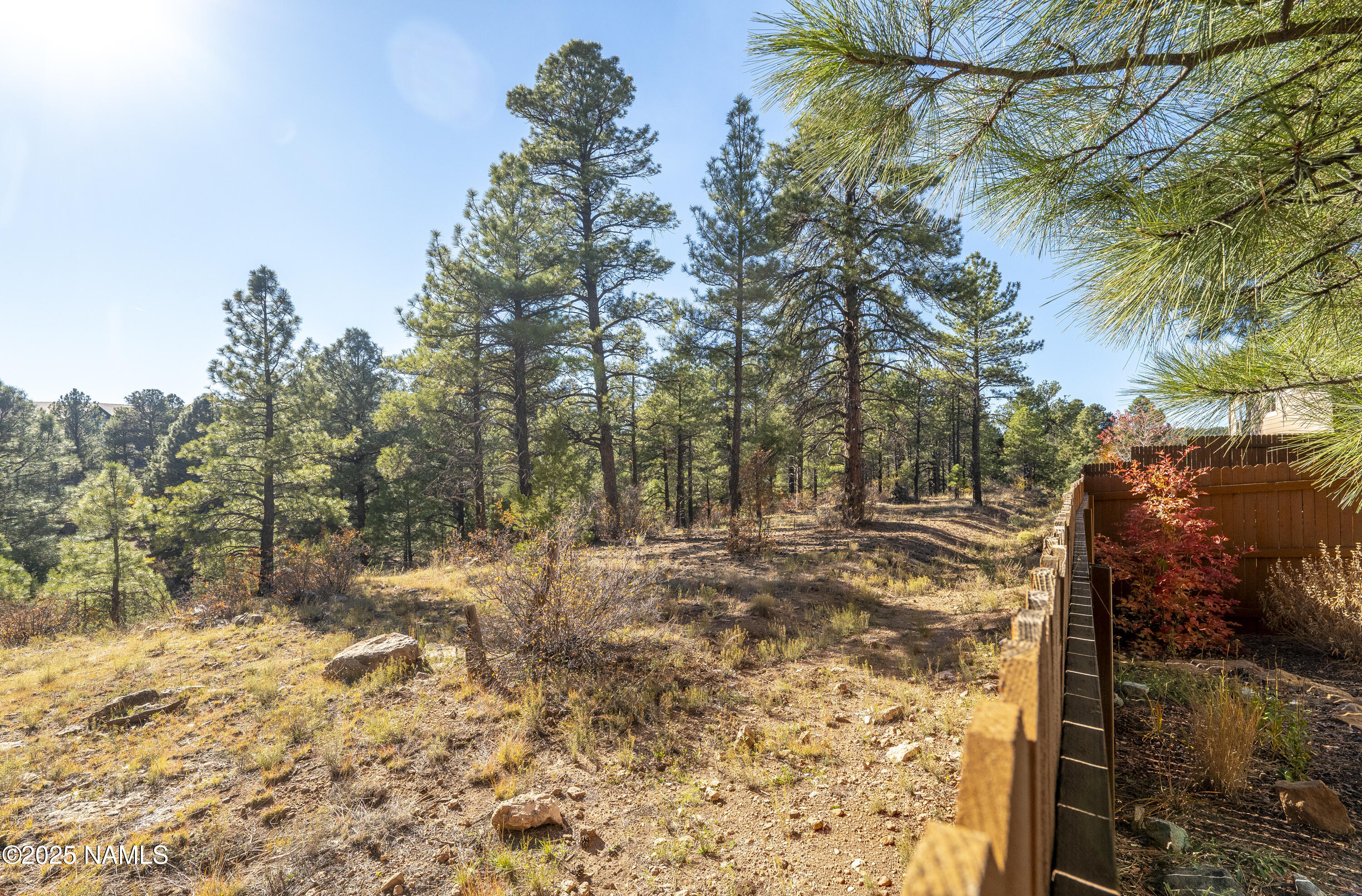 3143 East Cold Springs Trail Flagstaff, AZ 86004 - Photo 30 of 33 a view of a yard with trees