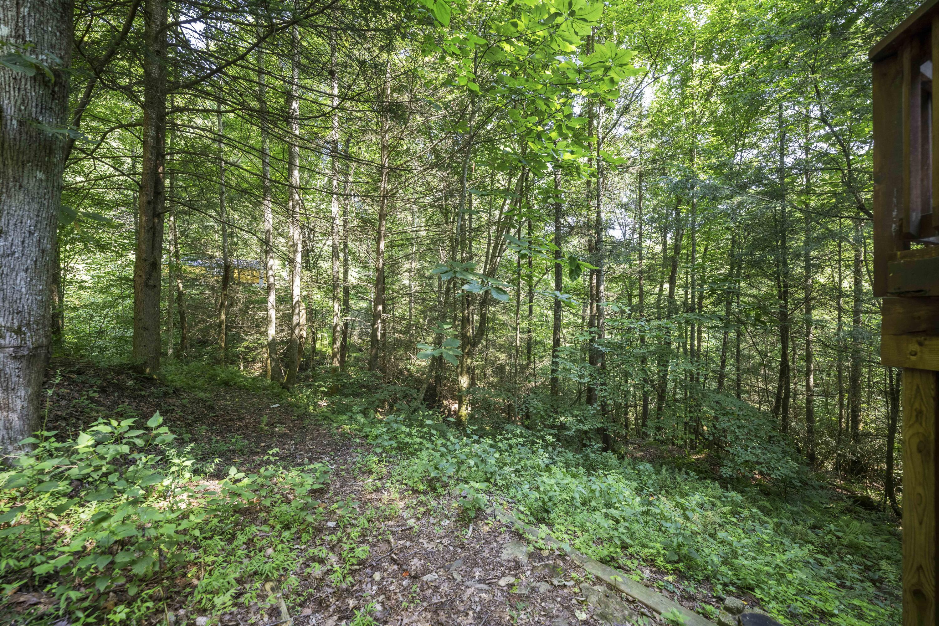 3556 Right Fork Fixer Road Zoe, KY 41397 - Photo 5 of 29 20240805-3556-Right-Fork-Fixer-tem-005