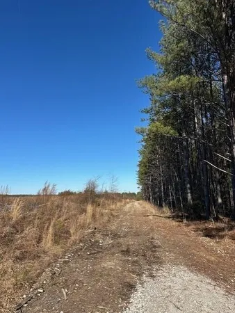 a view of a dry yard with trees in the background