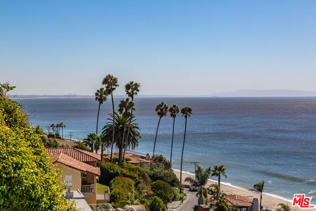 a view of a palm plant from a terrace