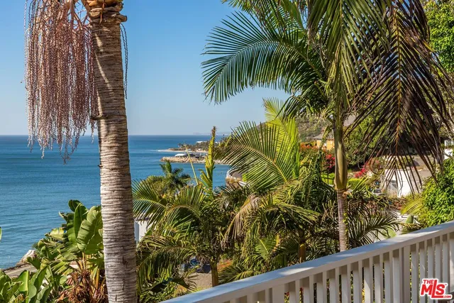 a view of a yard with plants