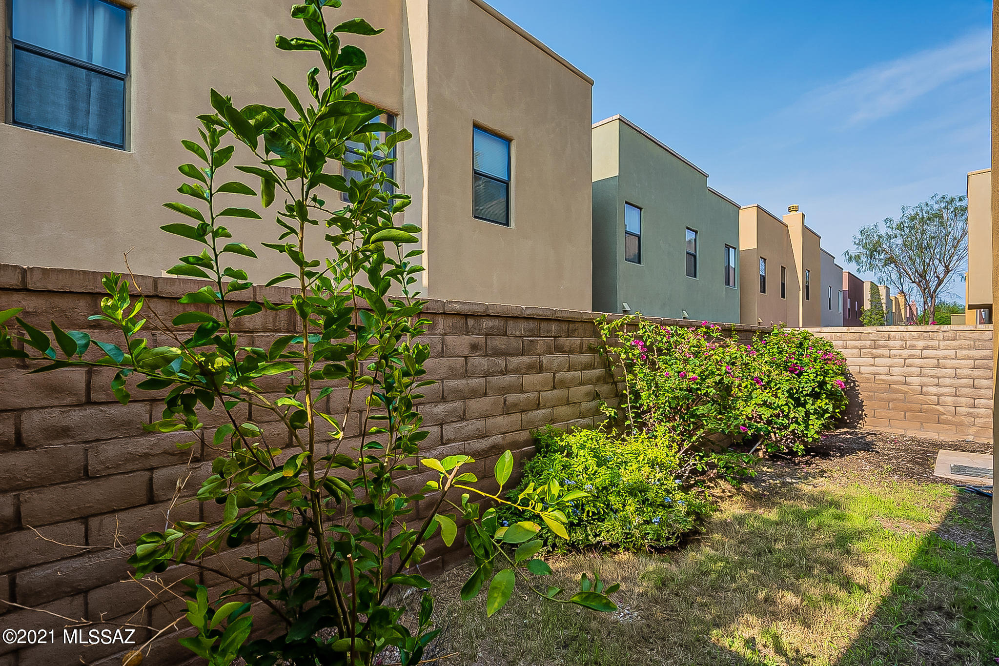 155 East Castlefield Circle Tucson, AZ 85704 - Photo 44 of 46