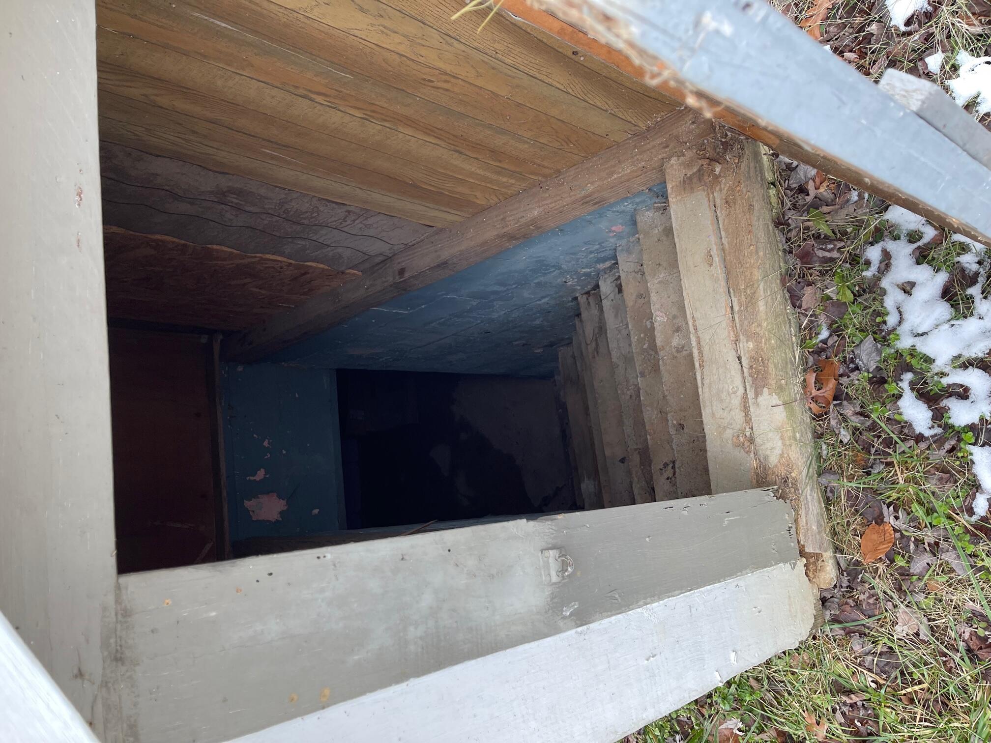 322 Cave Ridge Road Rogersville, TN 37857 - Photo 5 of 19 Cellar