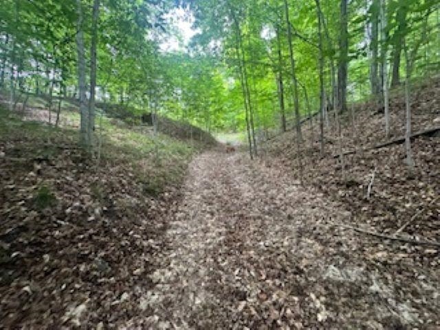 V/l McKinney Road Central Lake, MI 49622 - Photo 4 of 29