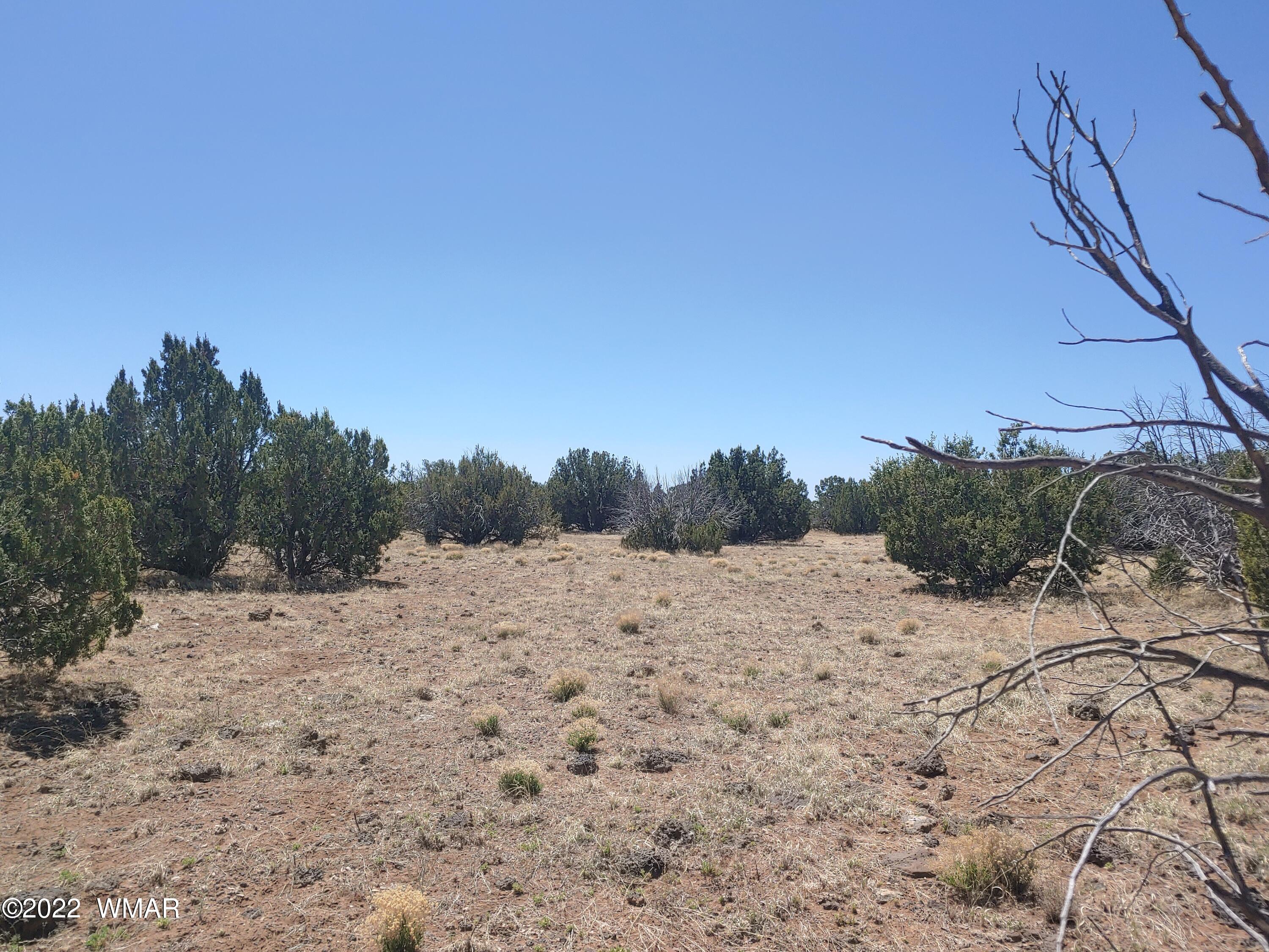 Tbd Weber Way Show Low, AZ 85901 - Photo 11 of 19